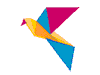 Континент Инфо