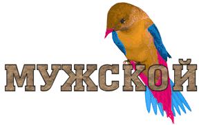Мужской