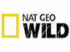 Nat Geo wild HD Nat Geo wild HD