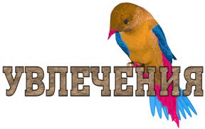 Увлечения