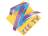 Zee tv